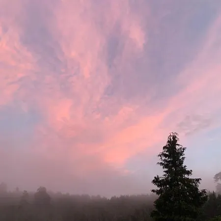 Daire Zorica Vodice *