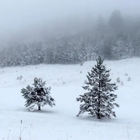 Lejlighed Zorica Vodice