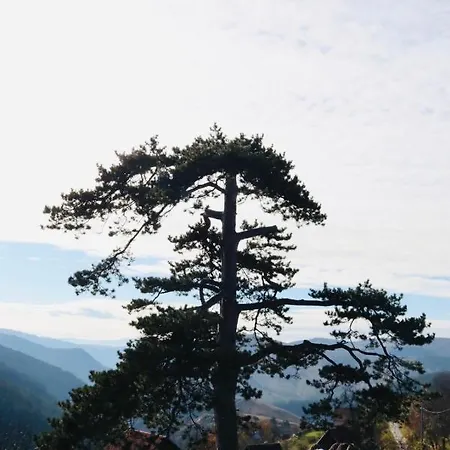 Zorica Vodice Lejlighed *