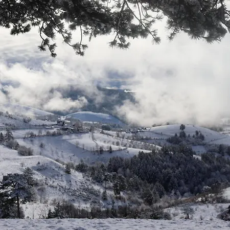 Zorica Vodice Daire *