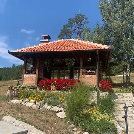 Zorica Vodice *