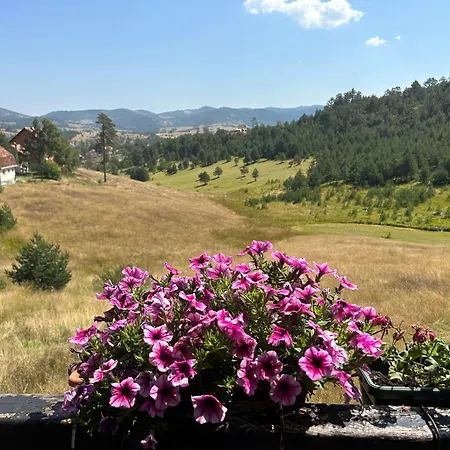 Zorica Vodice Lejlighed